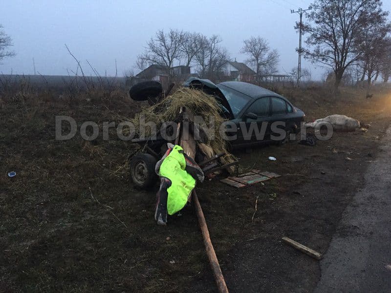 Accident localitatea Progresu - Dorohoi (3)