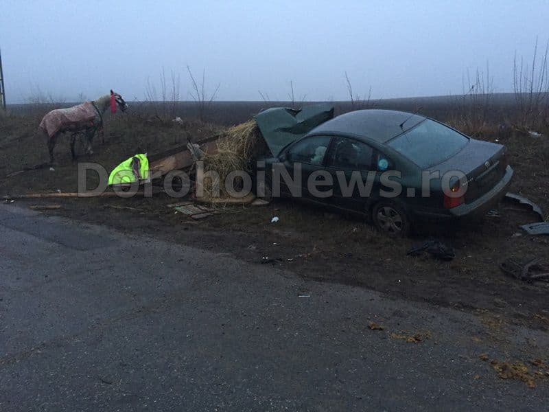 Accident localitatea Progresu - Dorohoi (5)
