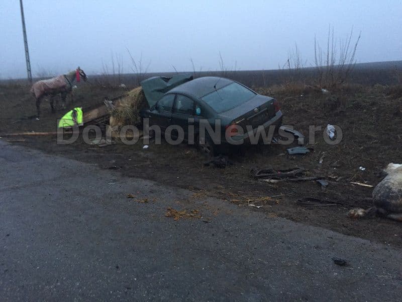 Accident localitatea Progresu - Dorohoi (6)