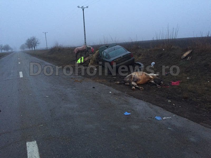 Accident localitatea Progresu - Dorohoi (7)