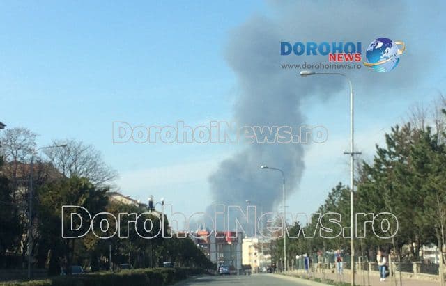 Incendii Iezer si Hudesti_02