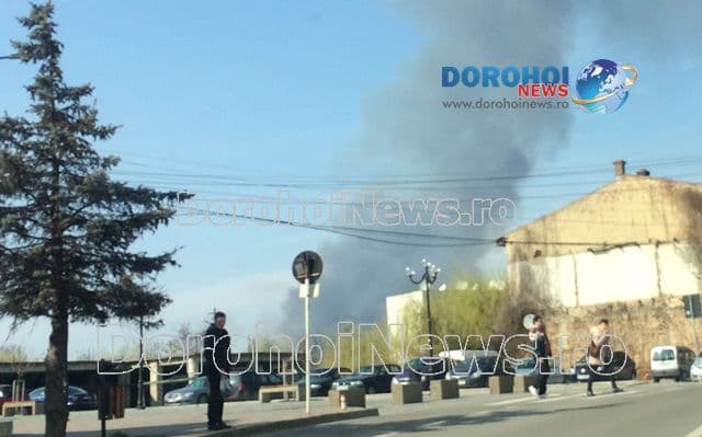 Incendii Iezer si Hudesti_03