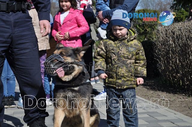 Ziua Jandarmilor la Dorohoi_06