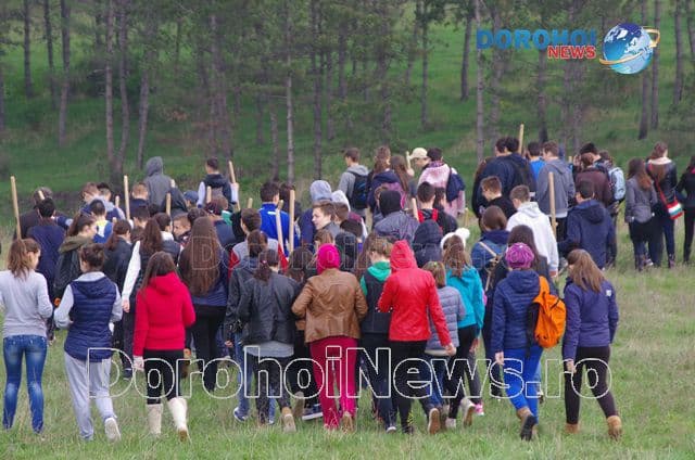 Plantare de copaci Dorohoi 2016_01
