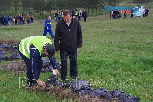 Plantare de copaci Dorohoi 2016_03