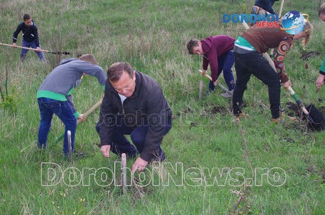 Plantare de copaci Dorohoi 2016_05