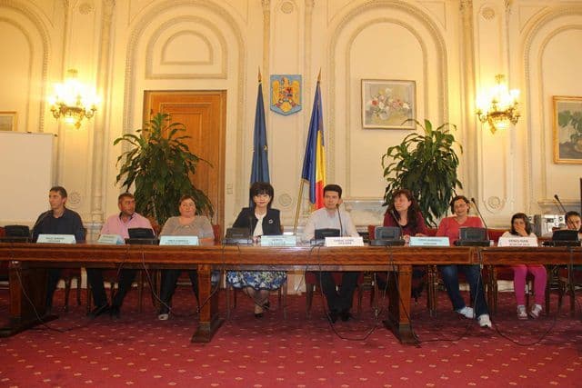 elevi din Hiliseu Horia în vizită la Senat 09