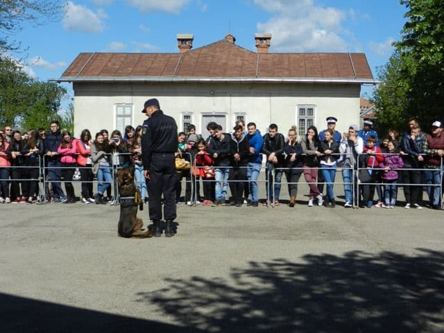 Ziua Portilor Deschise (3)