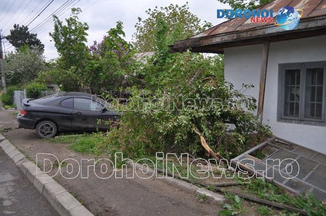 Accident Dorohoi_13