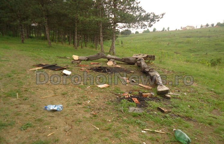incendiu Dorohoi 01