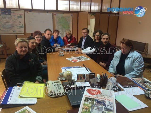 Proiect pentru cateila Dorohoi_02