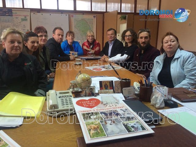 Proiect pentru cateila Dorohoi_03