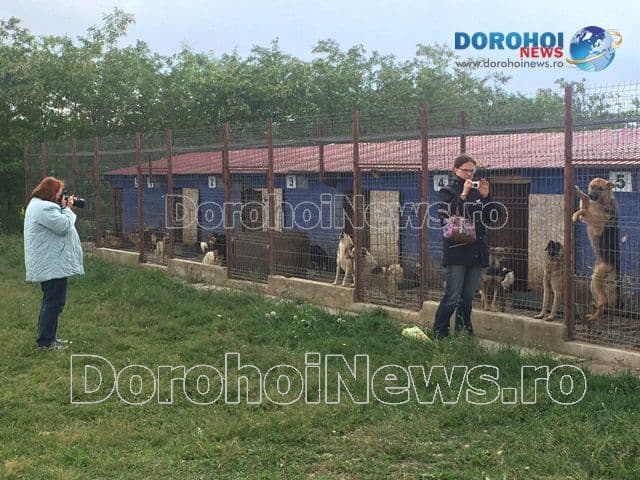 Proiect pentru cateila Dorohoi_12