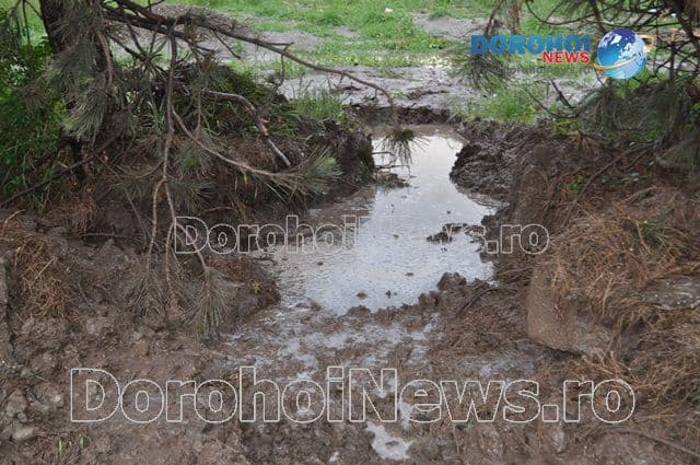 Inundatii la Dorohoi_11