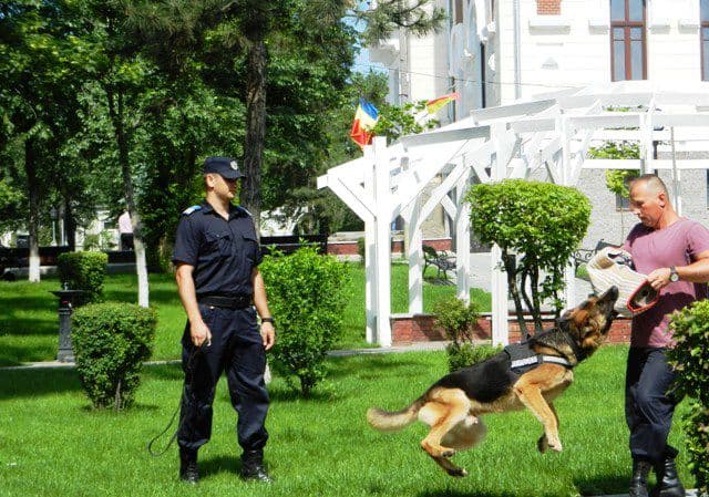 Ziua Copilului 2016 - Dorohoi (2)