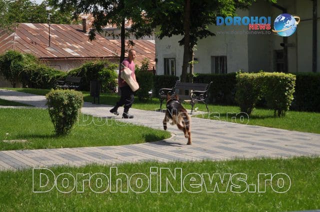 Activitate jandarmi_06