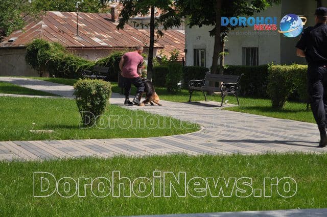 Activitate jandarmi_08