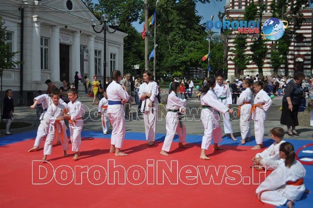 Activitate karate_03