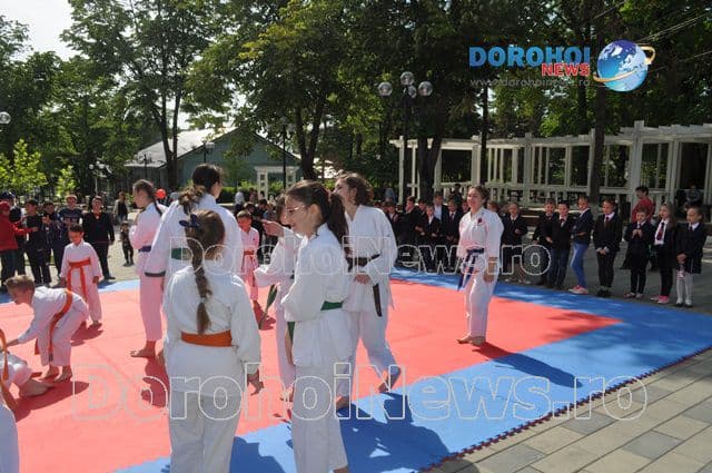 Activitate karate_05