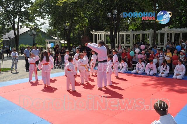 Activitate karate_06