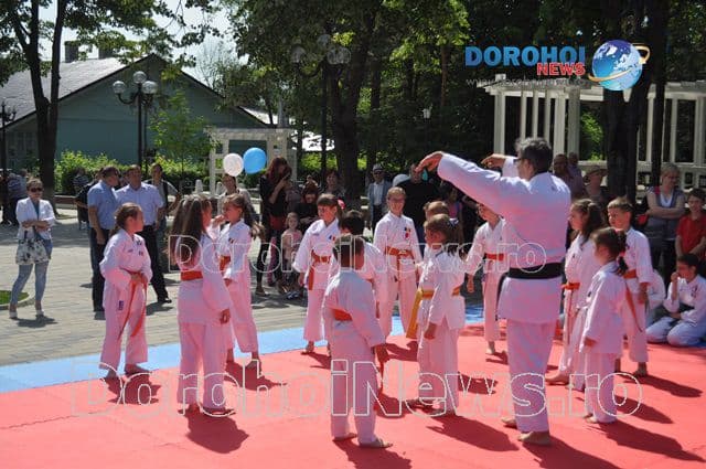 Activitate karate_07