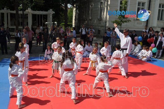 Activitate karate_11