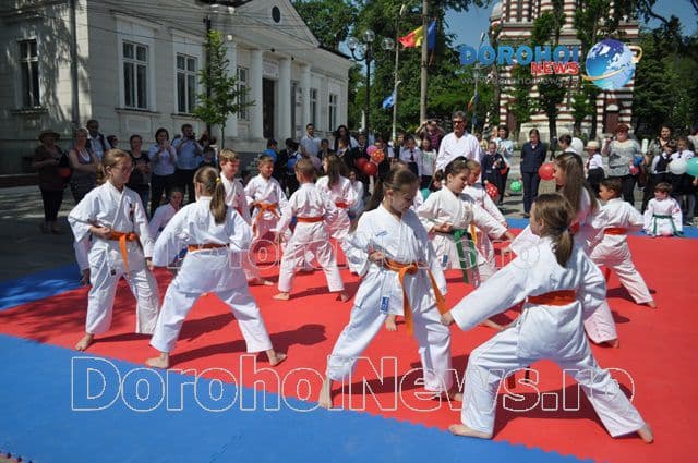 Activitate karate_12