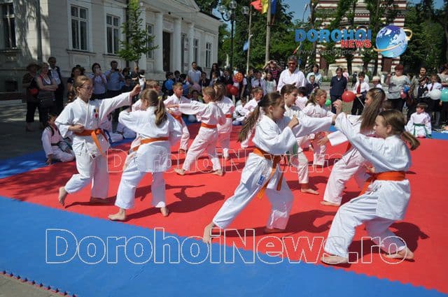 Activitate karate_13