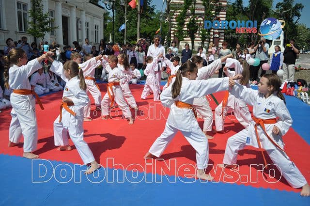 Activitate karate_14
