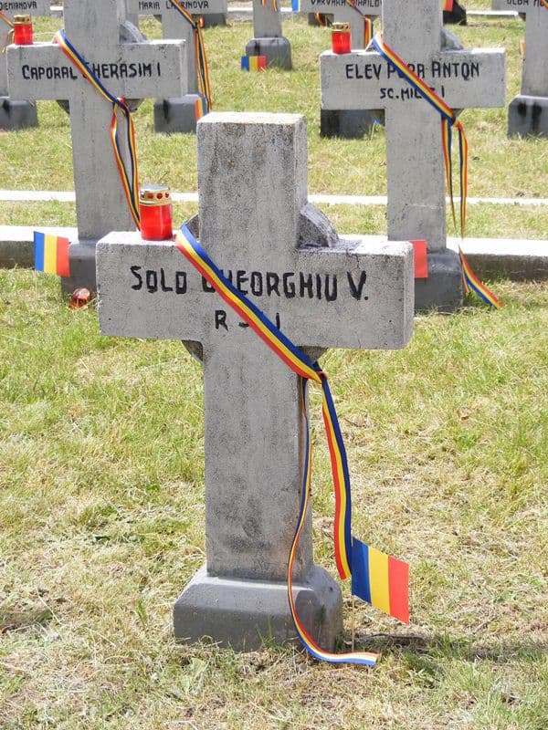 Ziua Eroilor Botosani 11