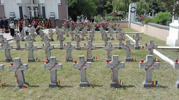 Ziua Eroilor Botosani 12