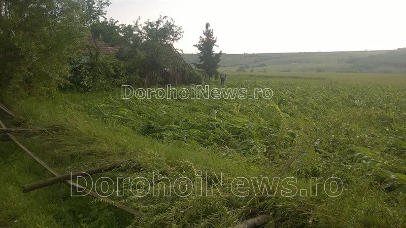 Tornada Mihaileni - Botosani_03
