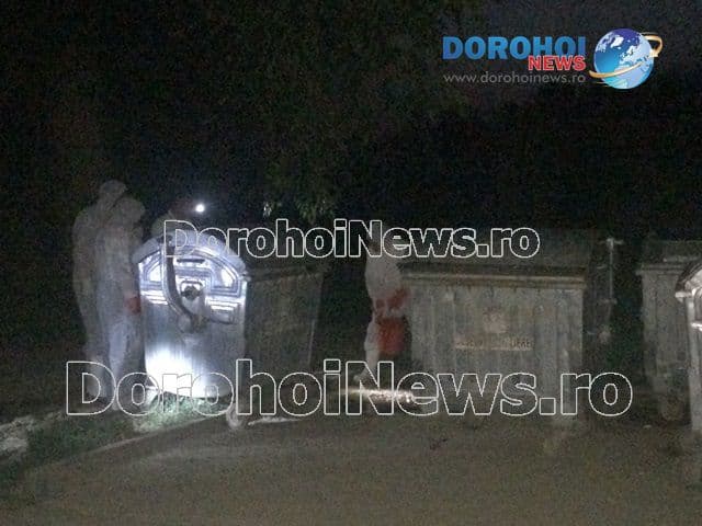 Porc mistret in tomberon la Dorohoi_05