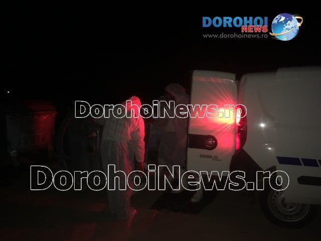 Porc mistret in tomberon la Dorohoi_07