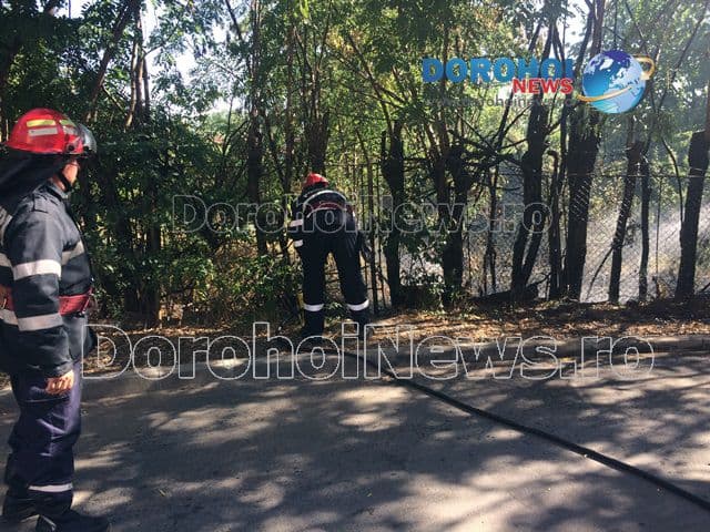 Incendiu Aleea Vicotriei Dorohoi_01