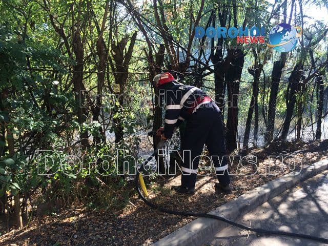 Incendiu Aleea Vicotriei Dorohoi_02