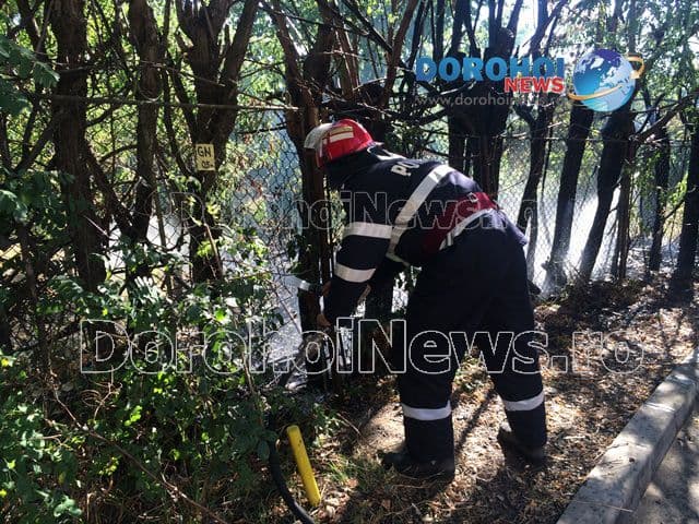 Incendiu Aleea Vicotriei Dorohoi_03