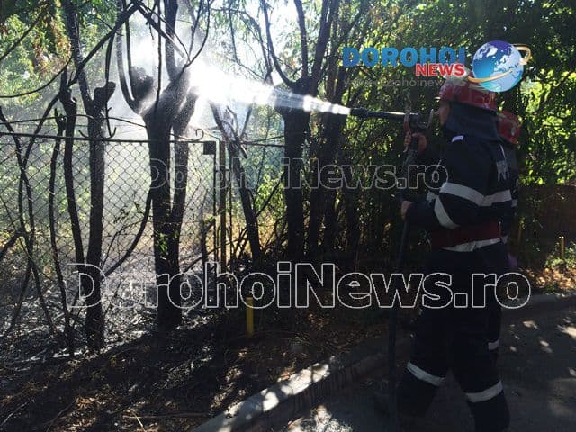 Incendiu Aleea Vicotriei Dorohoi_07