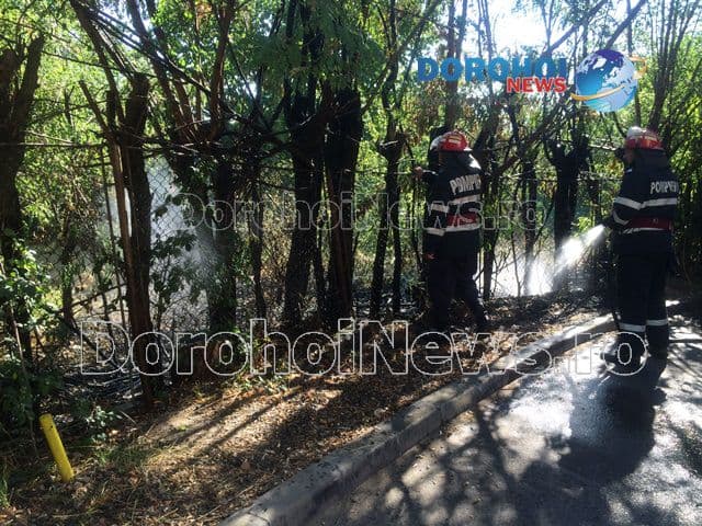 Incendiu Aleea Vicotriei Dorohoi_09