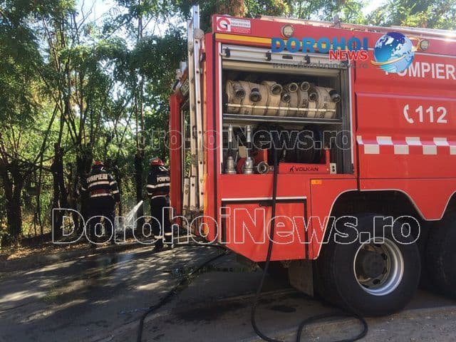 Incendiu Aleea Vicotriei Dorohoi_10