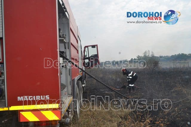 Incendiu Dealu Mare_02