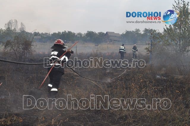 Incendiu Dealu Mare_03