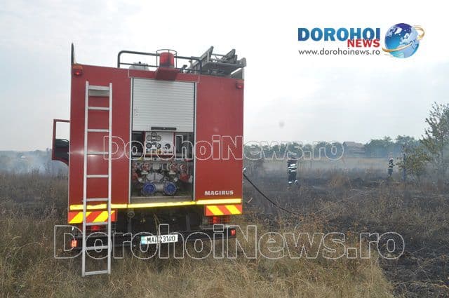 Incendiu Dealu Mare_04