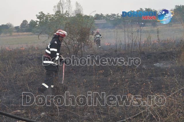 Incendiu Dealu Mare_05