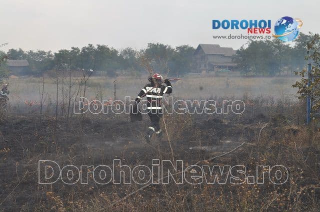 Incendiu Dealu Mare_06