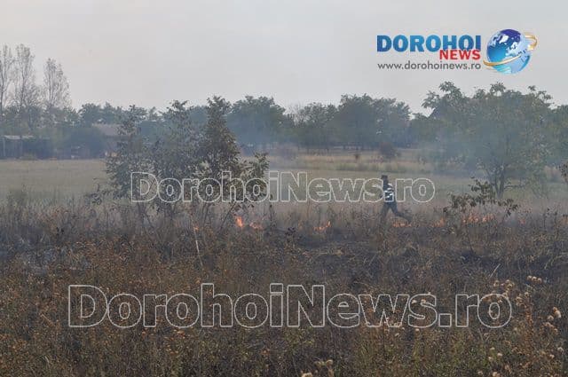 Incendiu Dealu Mare_07
