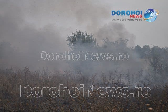 Incendiu Dealu Mare_08