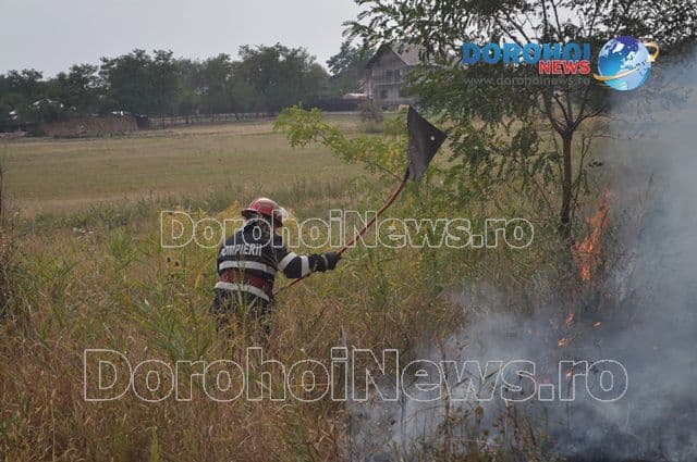 Incendiu Dealu Mare_09