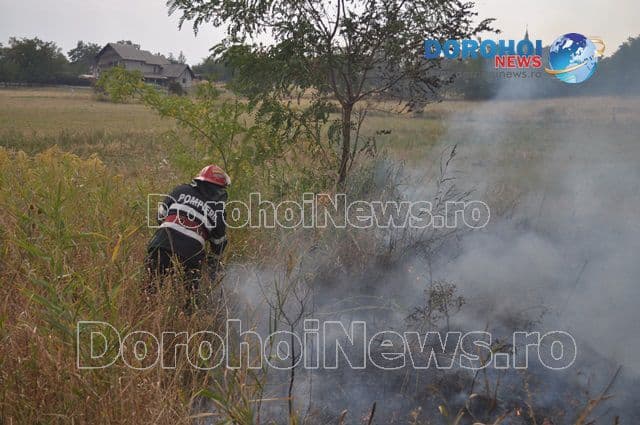 Incendiu Dealu Mare_10