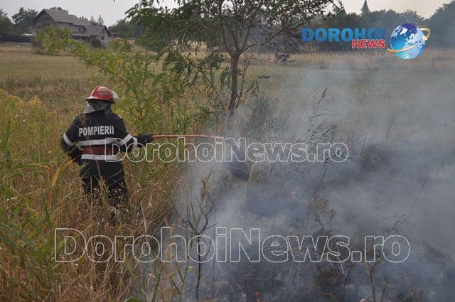 Incendiu Dealu Mare_11